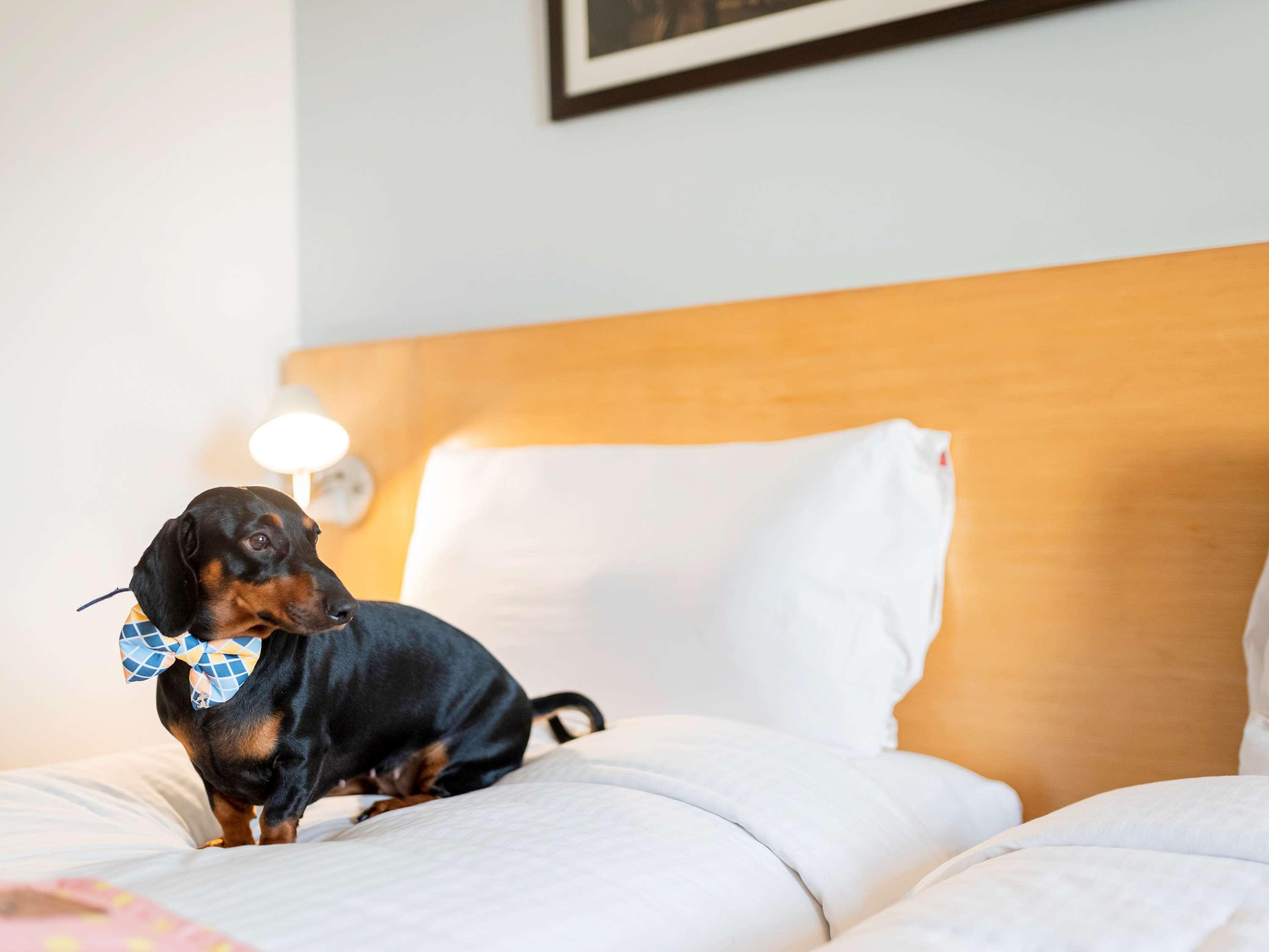 Ibis Kochi City Centre - An Accor Brand Bagian luar foto
